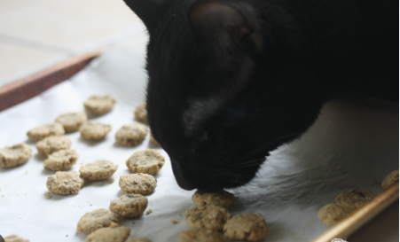 Treats for Fur Babies that Purr