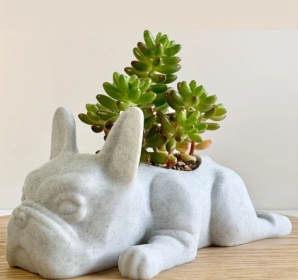 Mini French Bulldog Succulent Planter