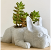 Mini French Bulldog Succulent Planter