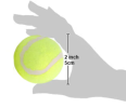 Dog Tennis Balls (20 pack)