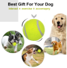 Dog Tennis Balls (20 pack)