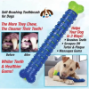 Rubber Toothbrush Chew for Dogs