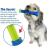 Rubber Toothbrush Chew for Dogs