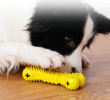 Dog Snack Dispenser