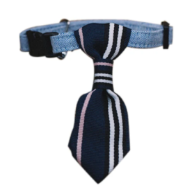 Deep Blue Tie for Small Dogs