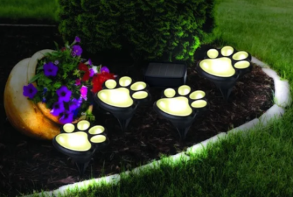 Garden or Yard Paw Print Solar Lights - 4pack