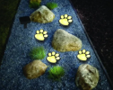 Garden or Yard Paw Print Solar Lights - 4pack