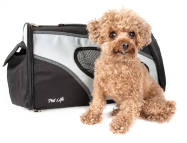 Collapsible Dog Carrier