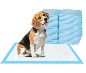 Puppy Pads for Training - 20 Count