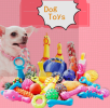 10 Piece Dog Chew Toys