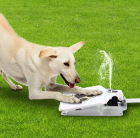 Outdoor Dog Water Sprinkler with Paw Control