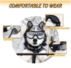 UV Protection Anti-Fog Snow Goggles for Dogs