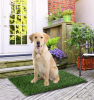 Artificial Grass Pad for Potty Training for Dogs