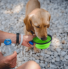 BPA Free Silicone Dog Bowls 4 pcs