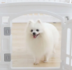 Folding Versatile Exercise Play Pen for Dogs