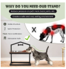 Adjustable Heights Elevated Dog Bowl Feeder Stand