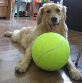 BIG Tennis Ball for Dogs