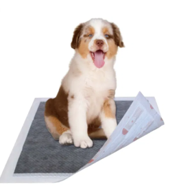 Ultra Absorbent Odor Eliminating Training Pads for Dogs