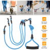 3 Dog Walking and Training Detachable Leash