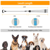 3 Dog Walking and Training Detachable Leash