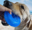 Bite Resistant Squeaky Teeth Cleaner - Large Dog