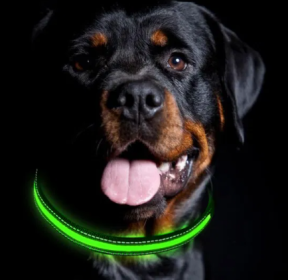 LED Rechargeable Dog Collar  Large - Green