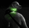 LED Rechargeable Dog Collar  Large - Green