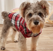 Classic Plaid Dog Shirt - Large