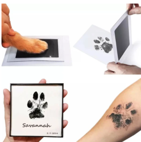 Beloved Dog or Cat Paw Print Keepsake Kit