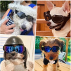 Small Dog Goggles