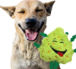 Bud the Weed Nug Dog Toy