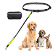 Hands Free Dog Leash with Zipper Pouch