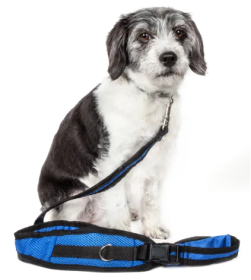 Pet Life Hands Free 2-In-1 Training Dog Leash With Pouch