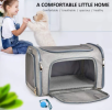 Surround View Fashion Pet Carrier