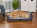 Serta Memory Foam Quilted Ortho Dog Bed Large