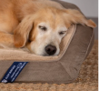 Serta Memory Foam Quilted Ortho Dog Bed Large