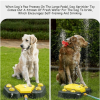 Paw Activated Drinking Fountain Sprinkler for Dogs