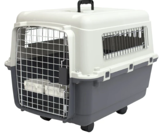 Plastic Airline Approved Dog Crate - Medium