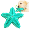 Star Shaped Dog Dental Chew Toy