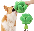 Broccoli Snuffle Training Toy for Dogs and Cats