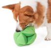 Broccoli Snuffle Training Toy for Dogs and Cats