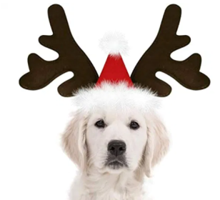 Holiday Reindeer Antlers for Dogs