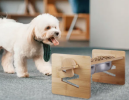 Bamboo Raised Stand Feeder with Bowls for Dogs