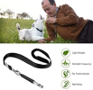 Adjustable Pitch Whistle for Dog Training 2 pack