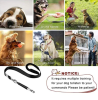 Adjustable Pitch Whistle for Dog Training 2 pack