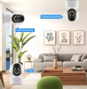 Wireless Nanny Camera for Dogs