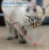 Rechargeable Laser Pointer Teaser Toy for Cats