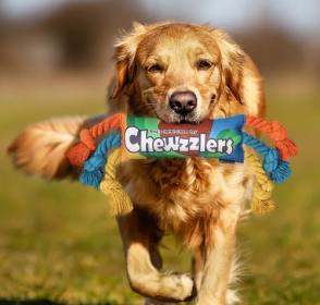 'Chewzzlers' Dog Chew Toy