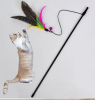 Feathered Bird Cat Teaser Tether and Rod