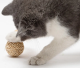 Rattan Woven Bell Ball Feather Funny Cat Toy